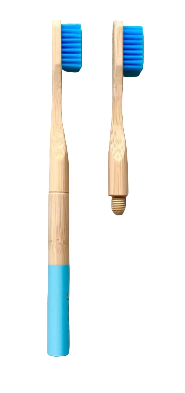 Cepillo dental Cabeza intercambiable + Repuesto Hooli