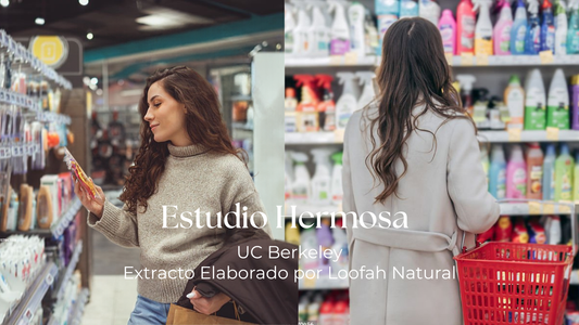 Estudio HERMOSA, Elaborado por la Universidad de Berkeley en California.