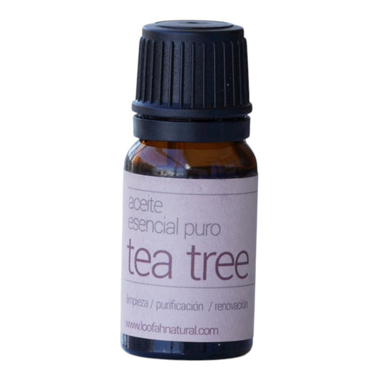 Aceite Esencial Tea Tree Limpieza, Purificación, Renovación